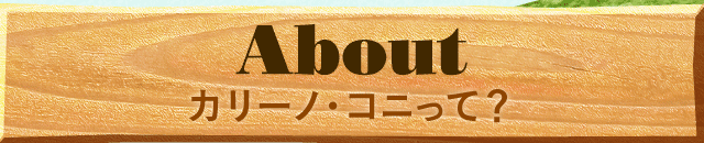 カリーノ・コニって？