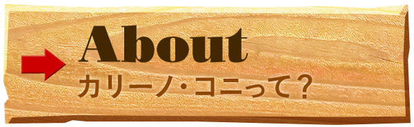 カリーノ・コニって？